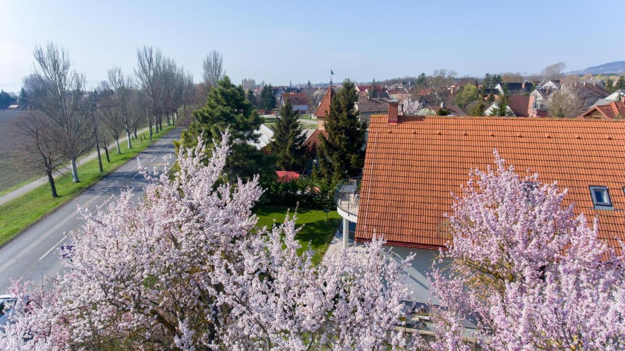 Tulipan Vendeghaz Hotell Orvenyes Exteriör bild